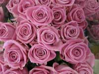 aqua pink rose bouquet