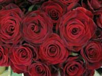 grand prix rose bouquet