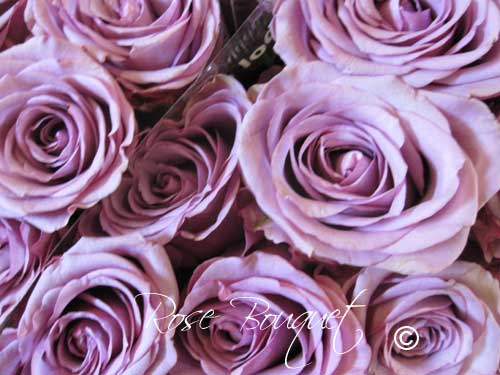 lavender rose bouquet