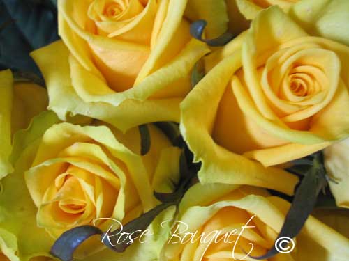yellow rose bouquet